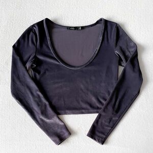 ARITZIA Velour Cropped Longsleeve